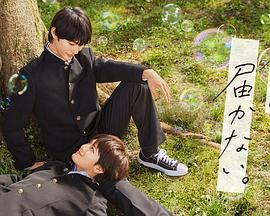 久久只有精品国产海报剧照