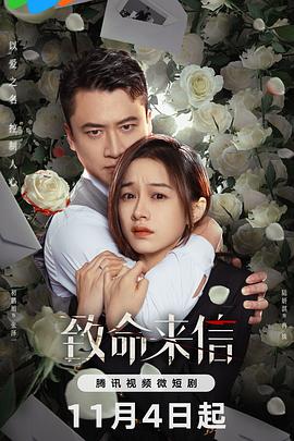 海贼王版视频海报剧照